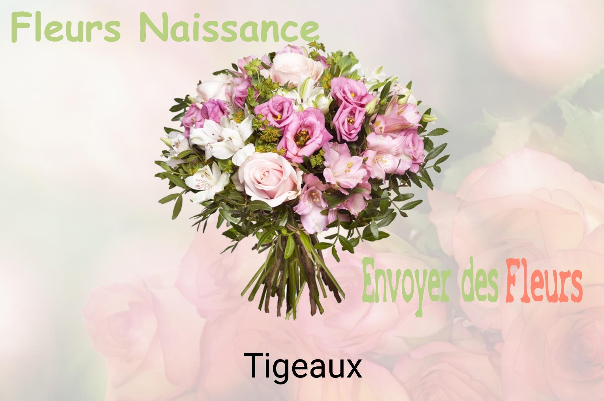 Bouquet de fleurs de naissance livré à Tigeaux